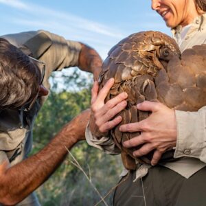Animal Behavior & Wildlife Ecology